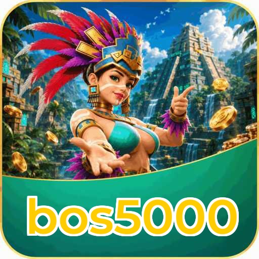 Troubleshooting - bos5000 Optimization Tips