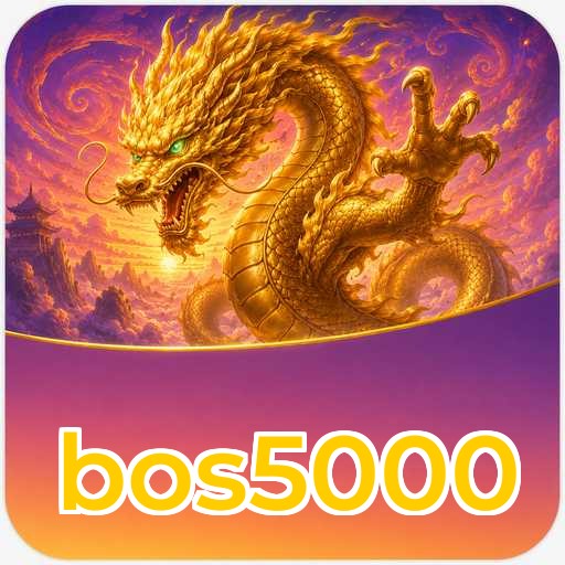 Overview bos5000