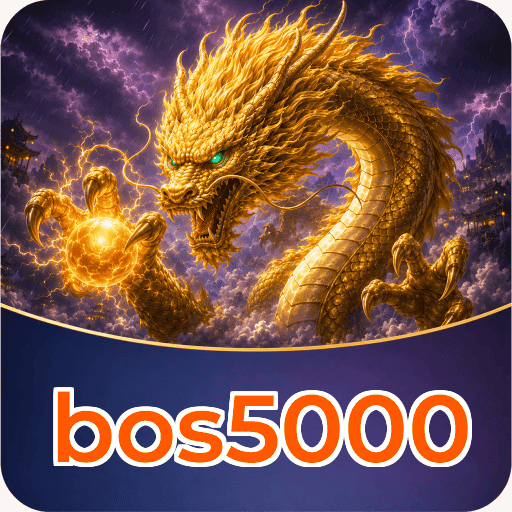 Expert Verdict - bos5000 Final Assessment