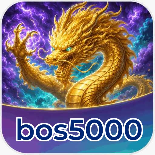 Developer Info bos5000