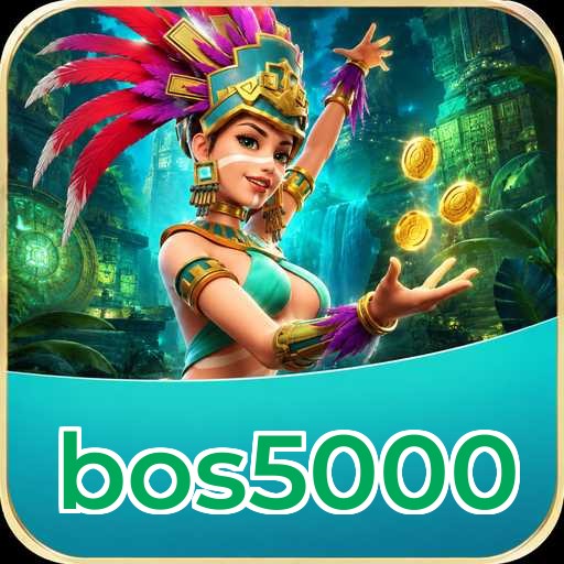 Privacy & Security bos5000